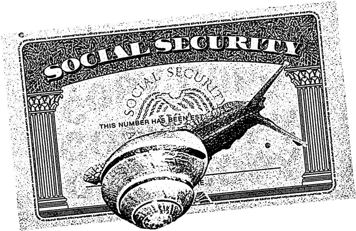 A snail on a social security card